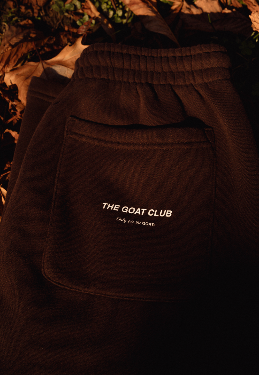 CLUB Sweatpants - BROWN